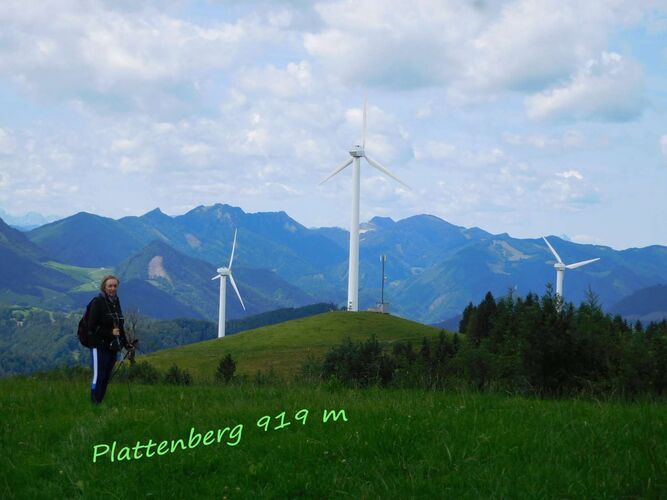 Tips Gipfelstürmer - Rosa - Plattenberg (919)