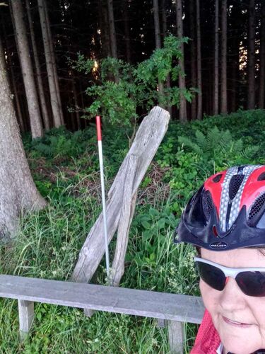 Tips Gipfelstürmer - Maria - Kaiblinger Kogel (752)