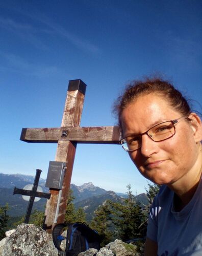 Tips Gipfelstürmer - Angela - Pfannstein (1423m)
