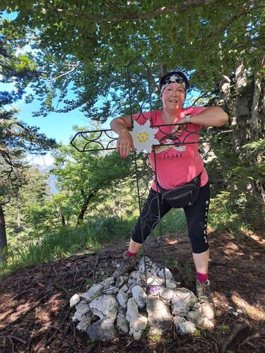 Tips Gipfelstürmer - Ingrid - Schneiderberg im Almtal (1162 m)