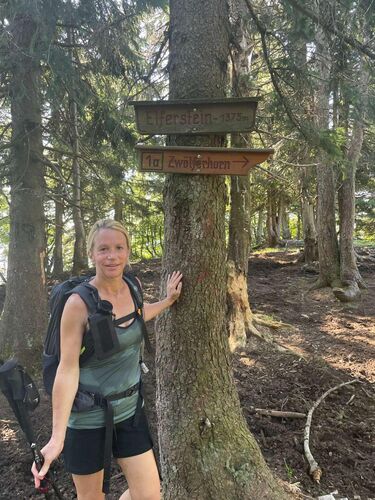 Tips Gipfelstürmer - Maria - Elferstein (1376m)