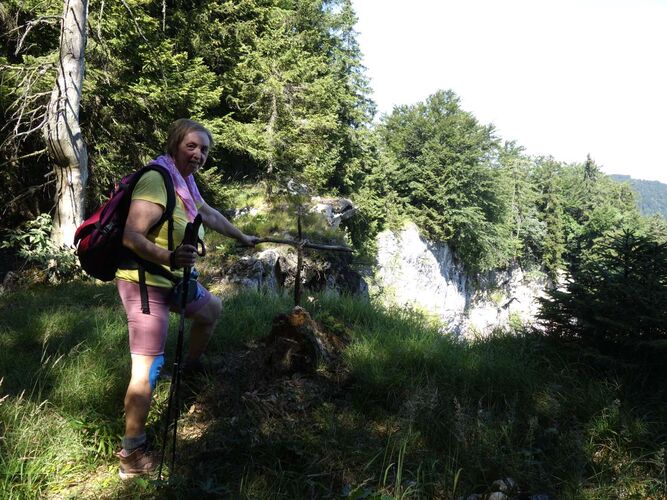 Tips Gipfelstürmer - Rosa - Tannscharten (1211m)