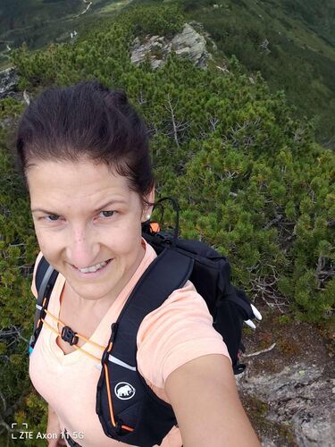 Tips Gipfelstürmer - Julia - Kleiner Rotbühel (1912)