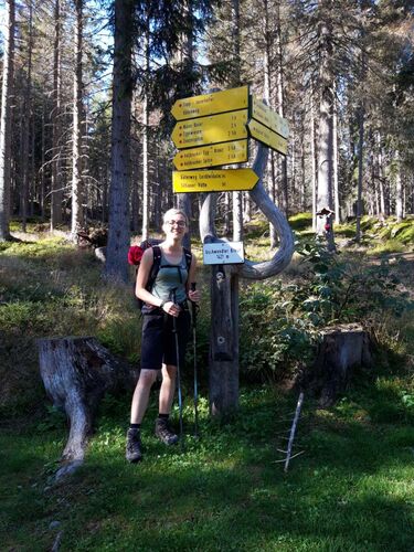 Tips Gipfelstürmer - Vanessa - Gschwendter Kreuz bei Silian (1421)