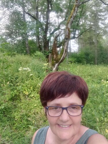 Tips Gipfelstürmer - Maria - Oberhammet (886m)