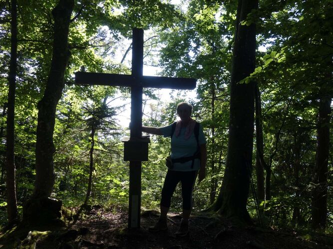 Tips Gipfelstürmer - Rosa - Jagdstein (634m)