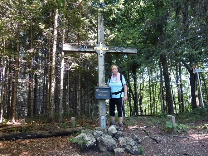 Tips Gipfelstürmer - Rosa - Schönleitner-Höhe (699m)