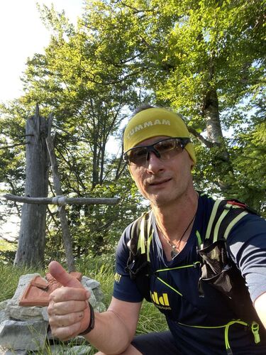 Tips Gipfelstürmer - Hermann - Stechertsaukogel (1272m)