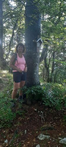 Tips Gipfelstürmer - Ingrid - Annasberg (1172m)