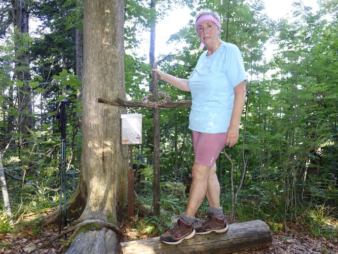 Tips Gipfelstürmer - Rosa - Sonnkogel (1177m)