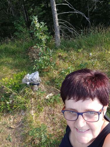 Tips Gipfelstürmer - Maria - Bauernkogel (840m)