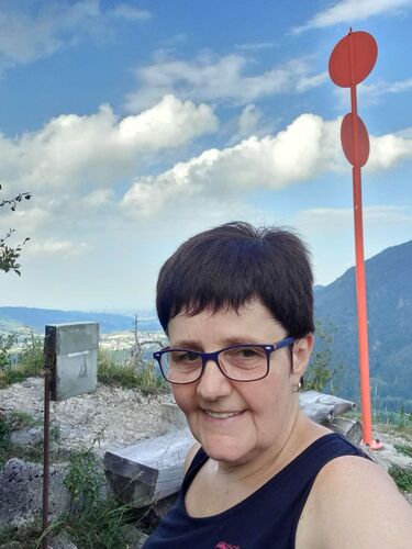 Tips Gipfelstürmer - Maria - Gumsenkogel (822m)