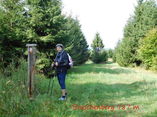 Tips Gipfelstürmer - Rosa - Braschenberg (787m)