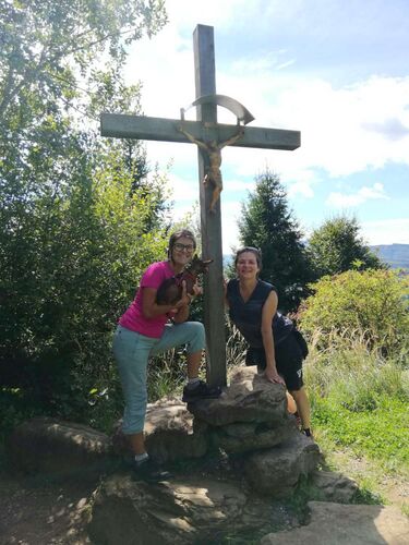 Tips Gipfelstürmer - Marika - Buchberg (808m)