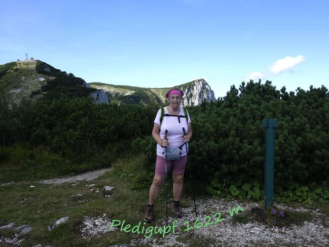 Tips Gipfelstürmer - Rosa - Pledigupf (1622m)