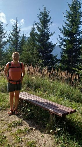 Tips Gipfelstürmer - Rosalinde - Hochgschirr (981m)