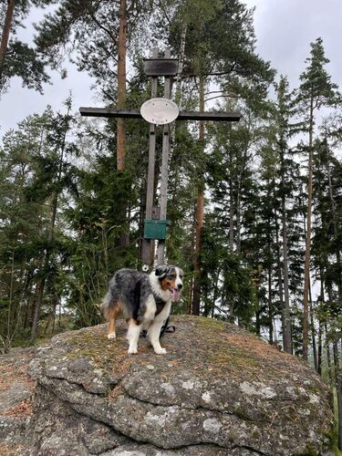 Tips Gipfelstürmer - Andreas  - Kirchberg (852m)