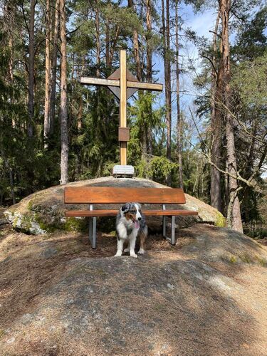Tips Gipfelstürmer - Andreas  - Himmelsstiege (768m)