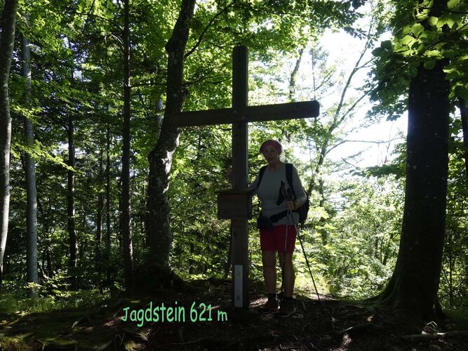 Tips Gipfelstürmer - Rosa - Jagdstein (634m)