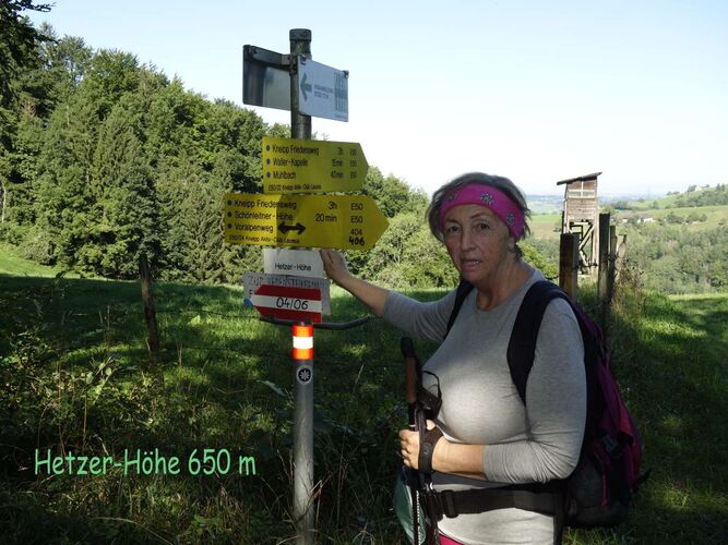 Tips Gipfelstürmer - Rosa - Hetzerhöhe (677m)