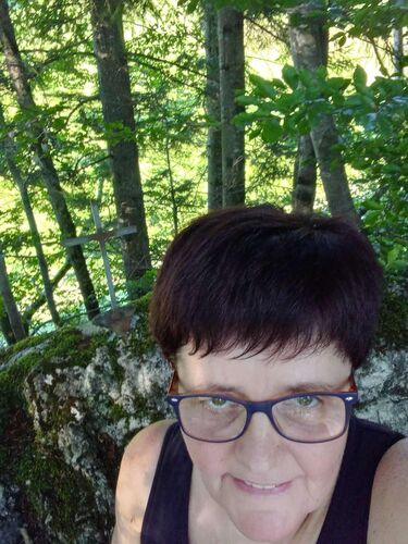 Tips Gipfelstürmer - Maria - Steinerberg (739m)