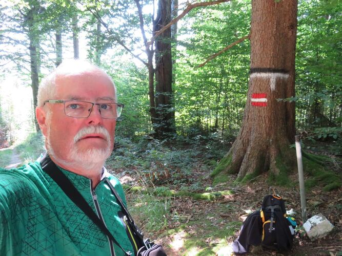 Tips Gipfelstürmer - Helmut - Geierkogel (886m)