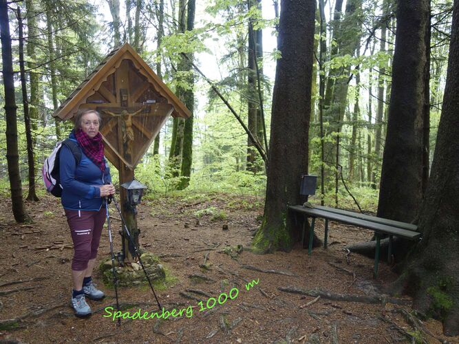 Gipfelstürmer 2024 - Rosa - Spadenberg (1000m)