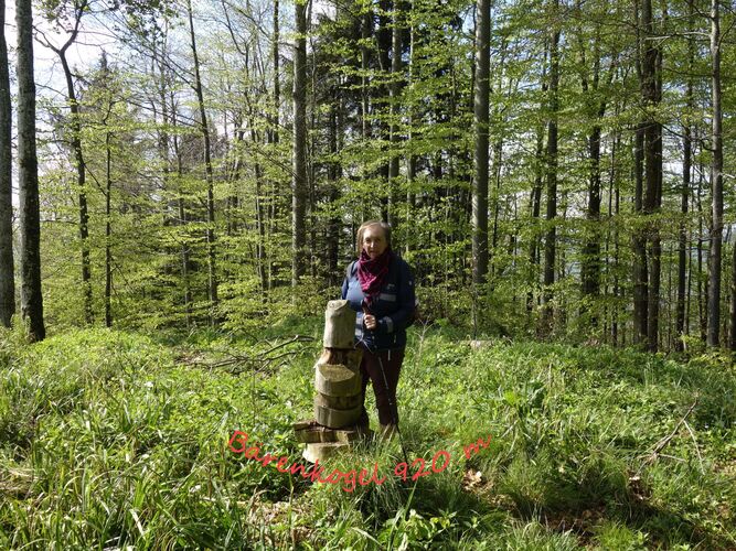 Gipfelstürmer 2024 - Rosa - Bärenkogel 920 m