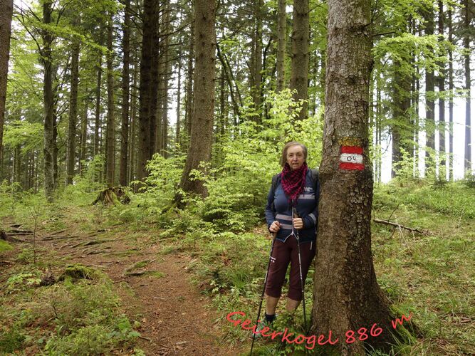 Gipfelstürmer 2024 - Rosa - Geierkogel (886m)