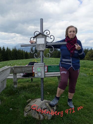 Gipfelstürmer 2024 - Rosa - Glasenberg (971m)