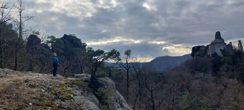 Gipfelstürmer 2024 - Elisabeth - Vogelberg (539m)