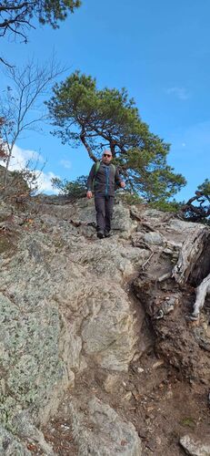 Gipfelstürmer 2024 - Dietmar - Vogelberg (539m)