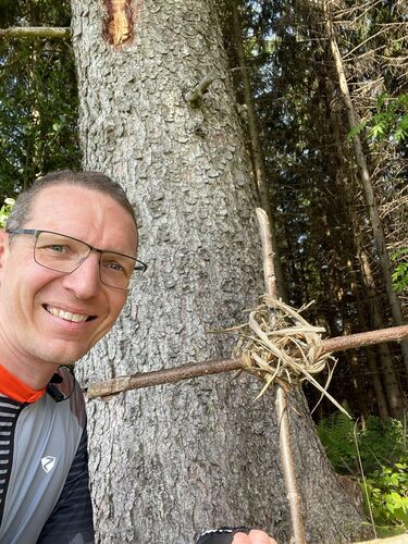 Gipfelstürmer 2024 - Thomas - Kaiblinger Kogel  (752)