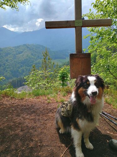 Gipfelstürmer 2024 - Madeleine - Lustiges Kegerl (666)