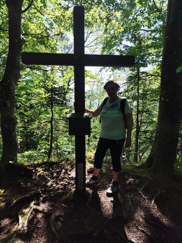 Gipfelstürmer 2024 - Rosa - Jagdstein (634m)