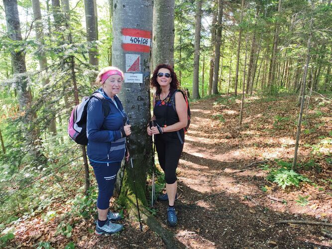 Gipfelstürmer 2024 - Franz - Jochberg (688m)