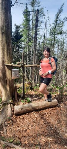 Gipfelstürmer 2024 - Ingrid - Sonnkogel (1177m)