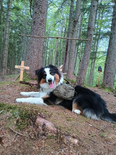 Gipfelstürmer 2024 - Madeleine - Kunzenberg (731)