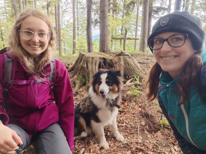 Gipfelstürmer 2024 - Maria - Buchenberg (934m)