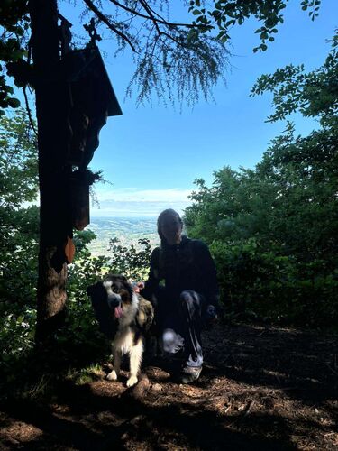 Gipfelstürmer 2024 - Madeleine - Pröller (729m)