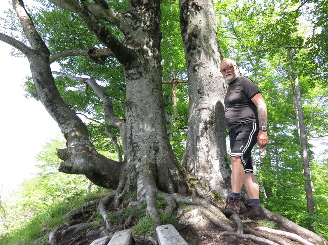 Gipfelstürmer 2024 - Helmut - Kienberg (801m)