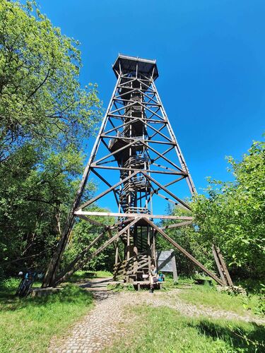 Gipfelstürmer 2024 - Nicole - Damberg (811m)