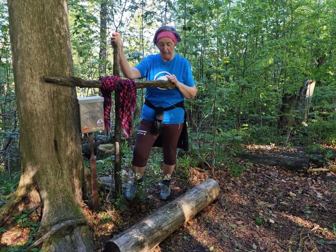 Gipfelstürmer 2024 - Rosa - Sonnkogel (1177m)