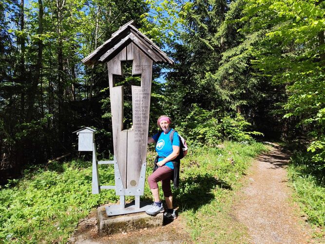 Gipfelstürmer 2024 - Rosa - Hohe Dirn (1134m)