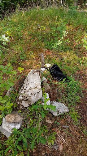 Gipfelstürmer 2024 - Claudia - Bauernkogel (840m)