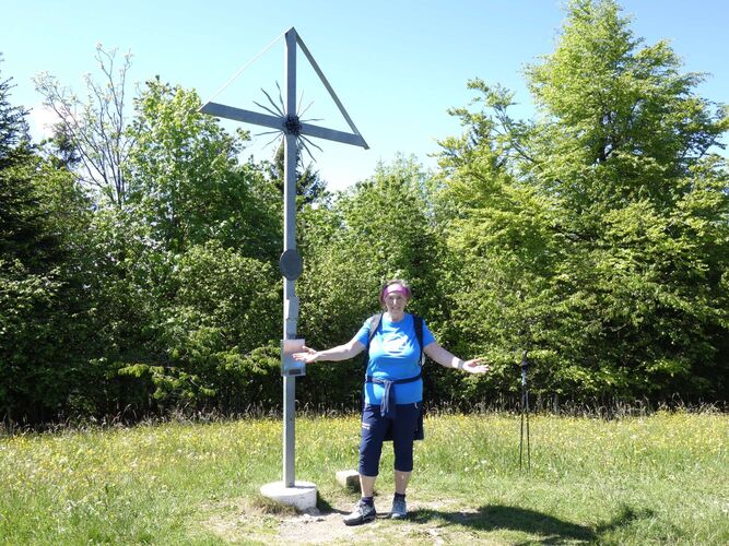 Gipfelstürmer 2024 - Rosa - Freidhofberg 958 m