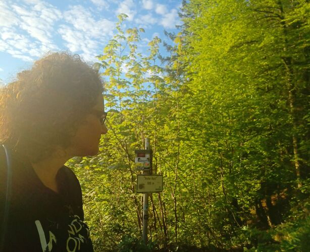 Gipfelstürmer 2024 - Angela - Hohe Rast  (980m)