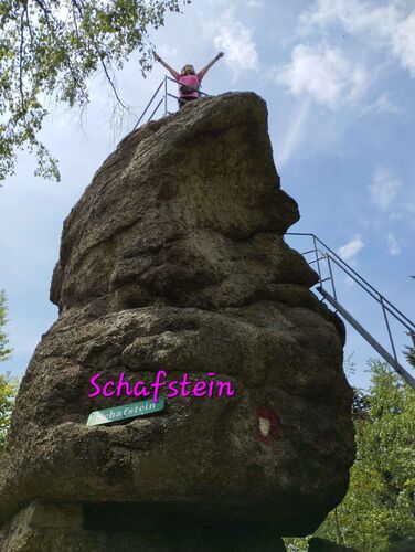 Gipfelstürmer 2024 - Elisabeth - Schafstein  (748m)