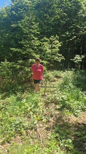 Gipfelstürmer 2024 - Elisabeth - Vierhöfer Berg (774m)