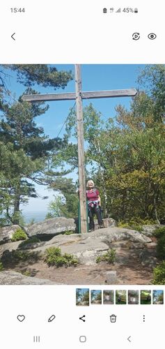 Gipfelstürmer 2024 - Sylvia - Mandlstein (874m)